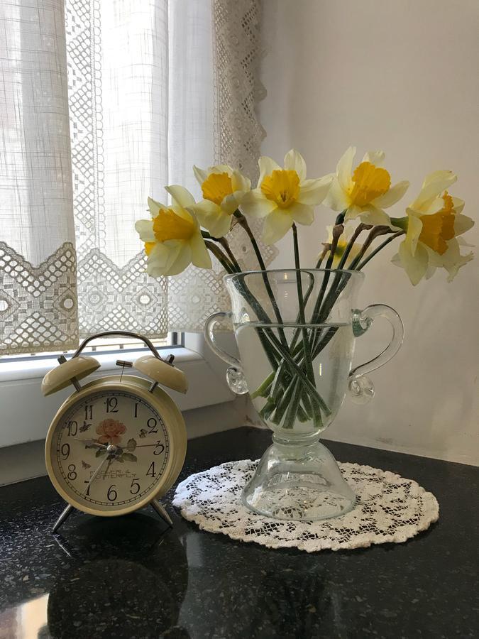 לבוב Apartment Natalya מראה חיצוני תמונה